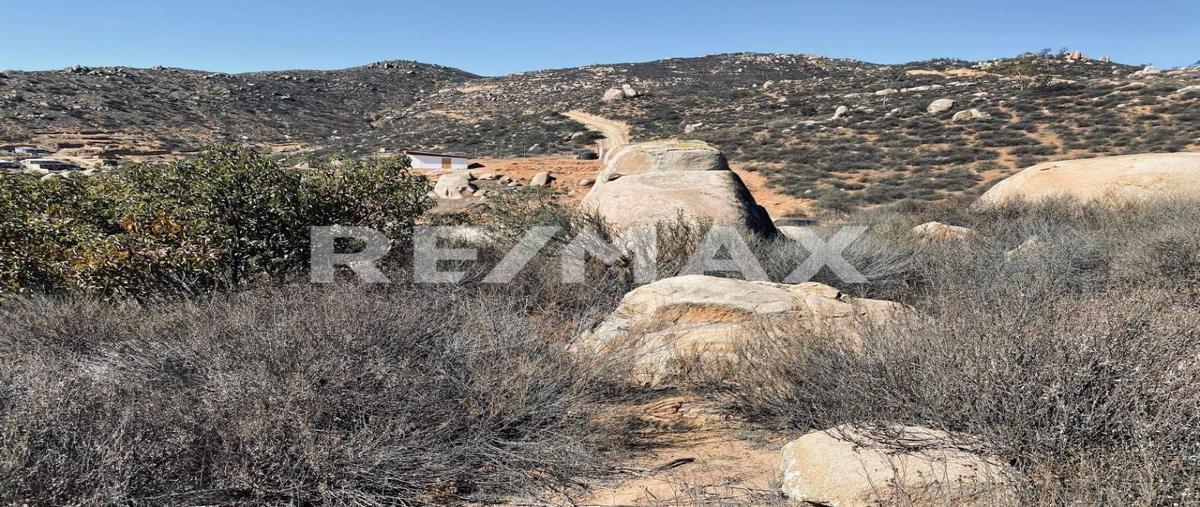 Foto de terreno habitacional en venta en carretera francisco zarco , francisco zarco (valle de guadalupe), ensenada, baja california, 0 No. 04