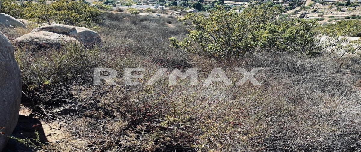 Foto de terreno habitacional en venta en carretera francisco zarco , francisco zarco (valle de guadalupe), ensenada, baja california, 0 No. 05