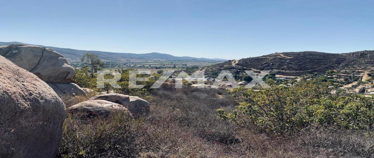 Foto de terreno habitacional en venta en carretera francisco zarco , francisco zarco (valle de guadalupe), ensenada, baja california, 0 No. 03
