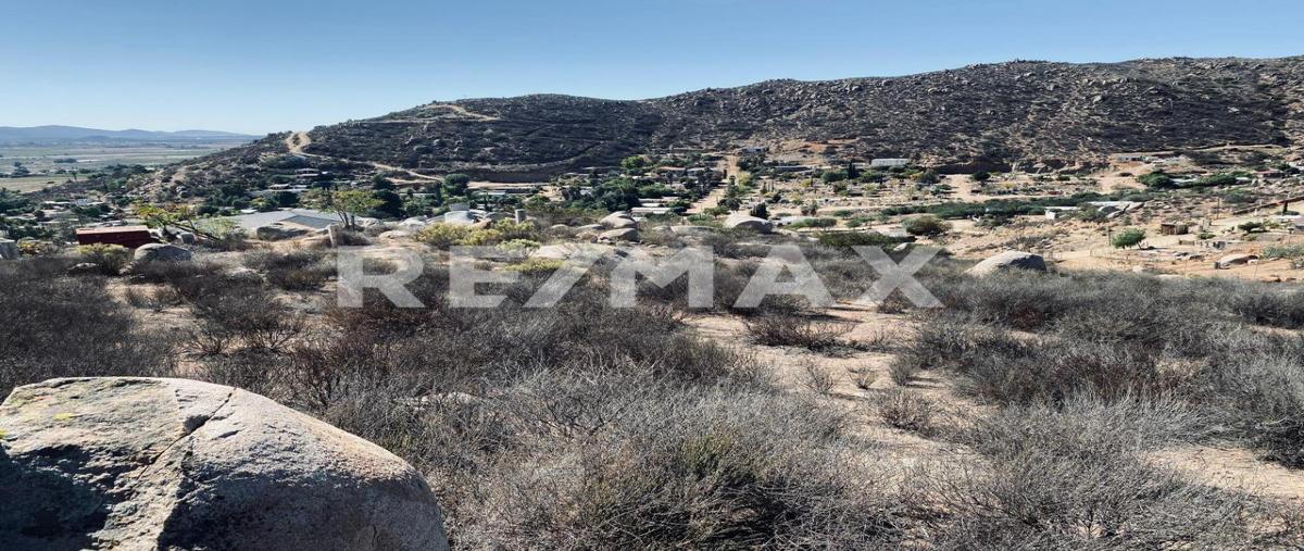 Foto de terreno habitacional en venta en carretera francisco zarco , francisco zarco (valle de guadalupe), ensenada, baja california, 0 No. 04