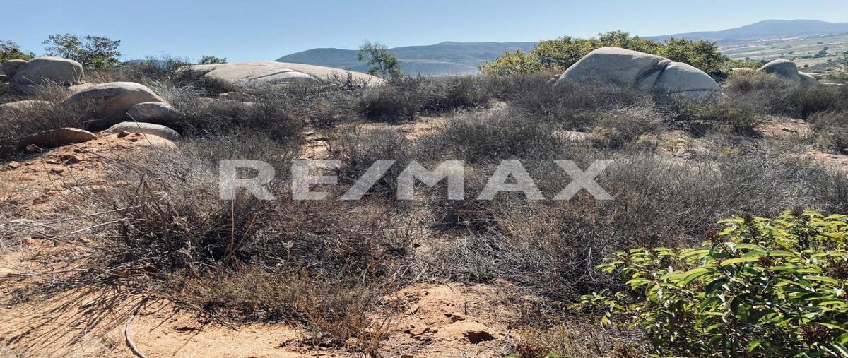 Foto de terreno habitacional en venta en carretera francisco zarco , francisco zarco (valle de guadalupe), ensenada, baja california, 0 No. 05
