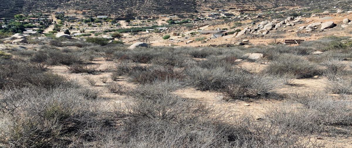 Foto de terreno habitacional en venta en carretera francisco zarco , francisco zarco (valle de guadalupe), ensenada, baja california, 30773600 No. 12