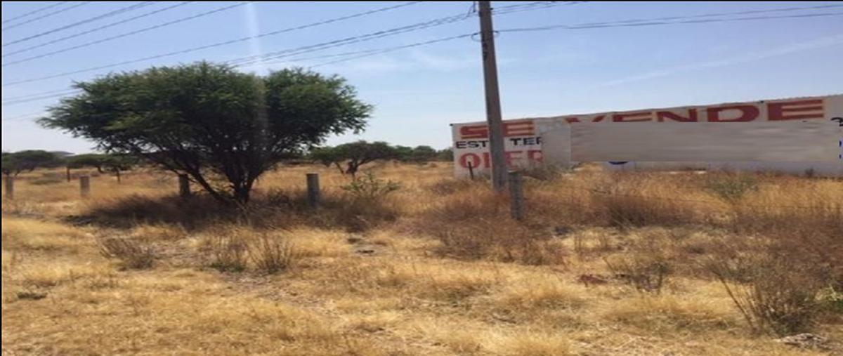 Foto de terreno comercial en carretera gpe-trancoso , santa mónica, guadalupe, zacatecas, 0 foto 03 Foto de terreno comercial en venta en carretera gpe-trancoso , santa mónica, guadalupe, zacatecas, 0 No. 03