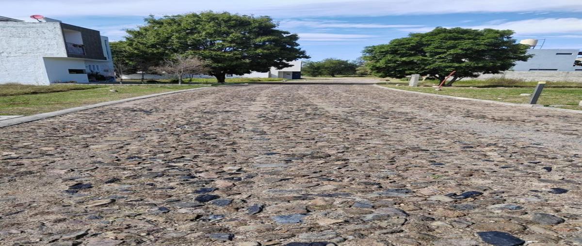 Foto de terreno habitacional en venta en carretera guadalajara- ameca , el arenal, el arenal, jalisco, 0 No. 02