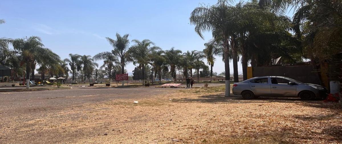 Foto de terreno comercial en carretera guadalajara - chapala 207, rancho alegre, tlajomulco de zúñiga, jalisco, 0 foto 05 Foto de terreno comercial en venta en carretera guadalajara - chapala 207, rancho alegre, tlajomulco de zúñiga, jalisco, 0 No. 05
