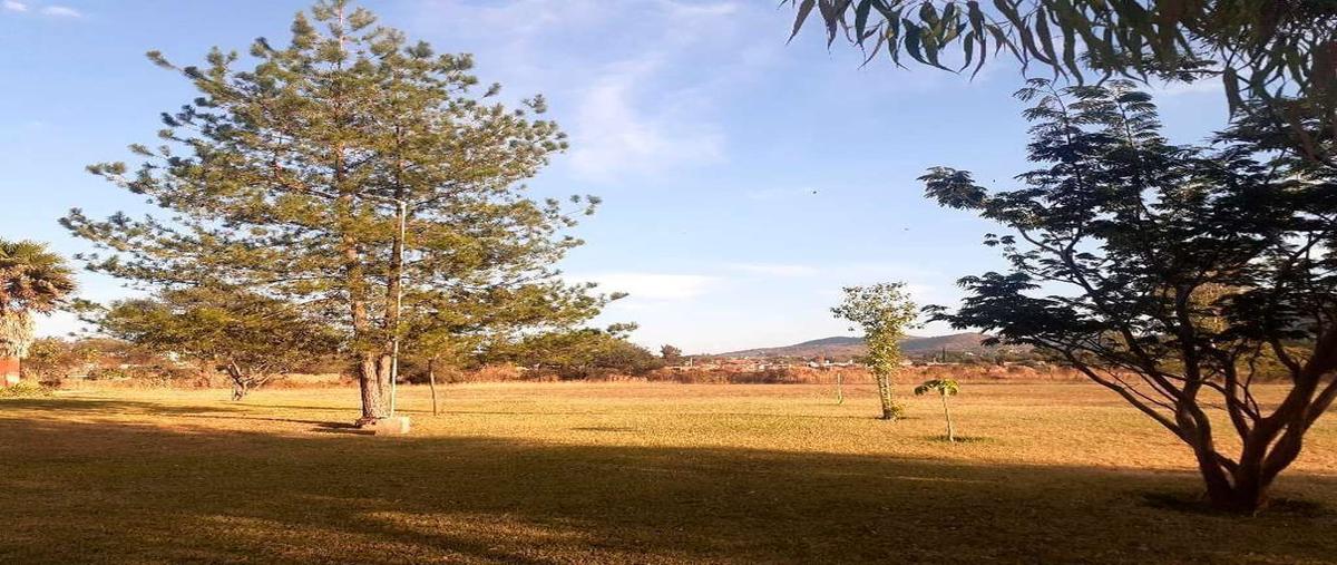 Foto de rancho en venta en carretera guadalajara - chapala , ixtlahuacan de los membrillos, ixtlahuacán de los membrillos, jalisco, 25239171 No. 03