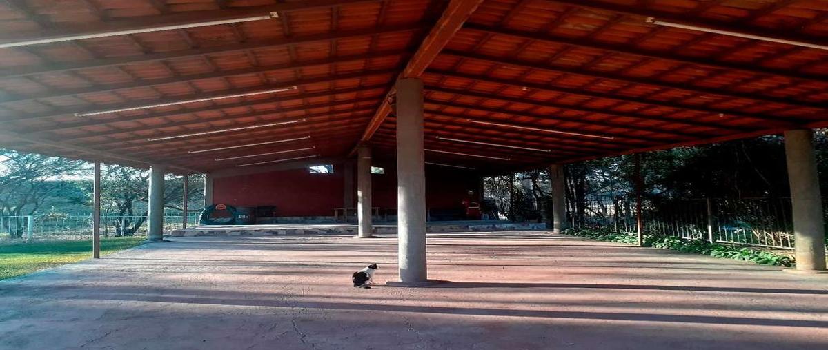 Foto de rancho en venta en carretera guadalajara - chapala , ixtlahuacan de los membrillos, ixtlahuacán de los membrillos, jalisco, 25239171 No. 05