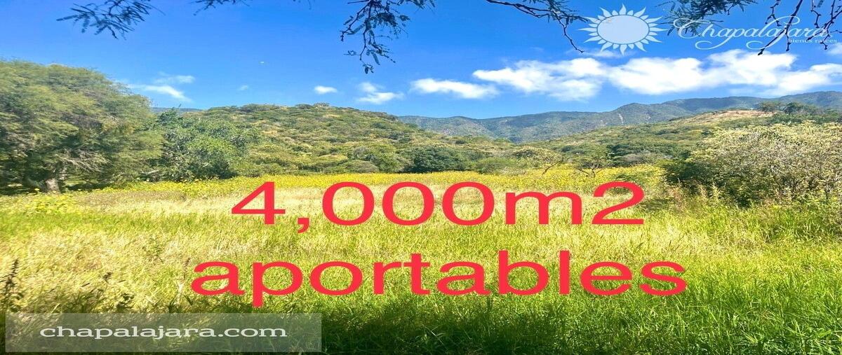 Foto de terreno habitacional en venta en carretera guadalajara -jocotepecal poniente de ajijic , ajijic centro, chapala, jalisco, 0 No. 02