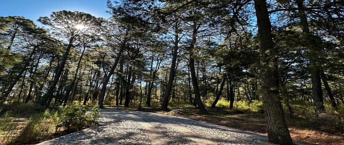 Foto de terreno habitacional en carretera guadalajara kilometro 27 , san antonio, tapalpa, jalisco, 28984618 foto 04 Foto de terreno habitacional en venta en carretera guadalajara kilometro 27 , san antonio, tapalpa, jalisco, 28984618 No. 04