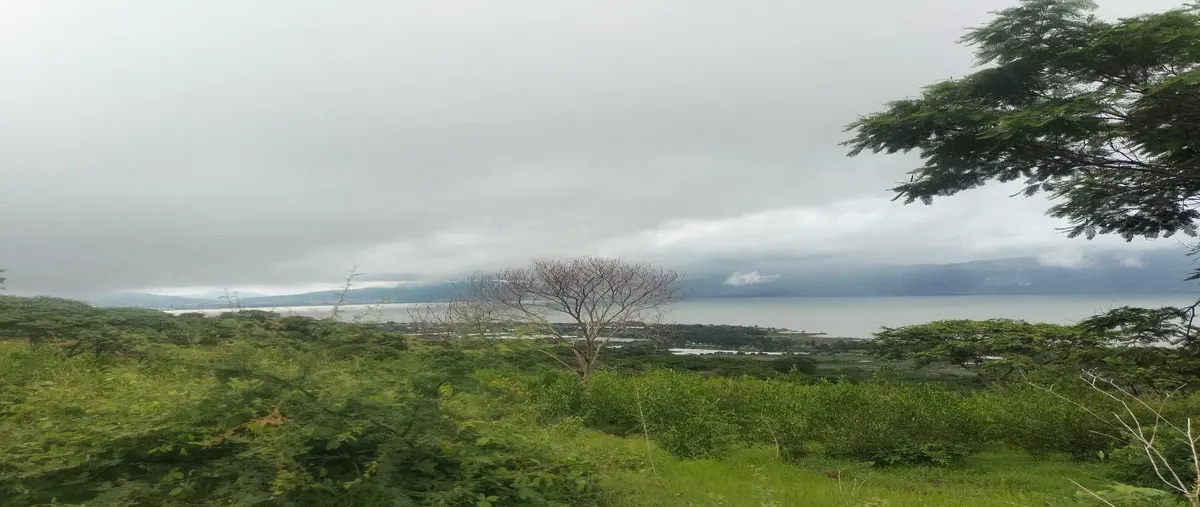 Foto de terreno habitacional en venta en carretera guadalajara morelia 10, san cristóbal zapotitlán, jocotepec, jalisco, 0 No. 02