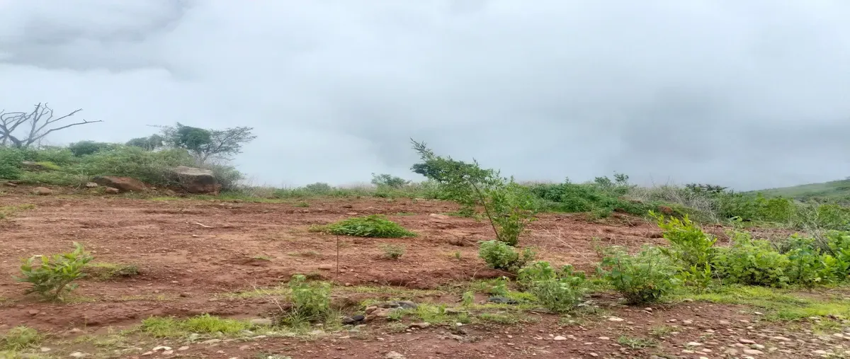 Foto de terreno habitacional en venta en carretera guadalajara morelia 10, san cristóbal zapotitlán, jocotepec, jalisco, 0 No. 05