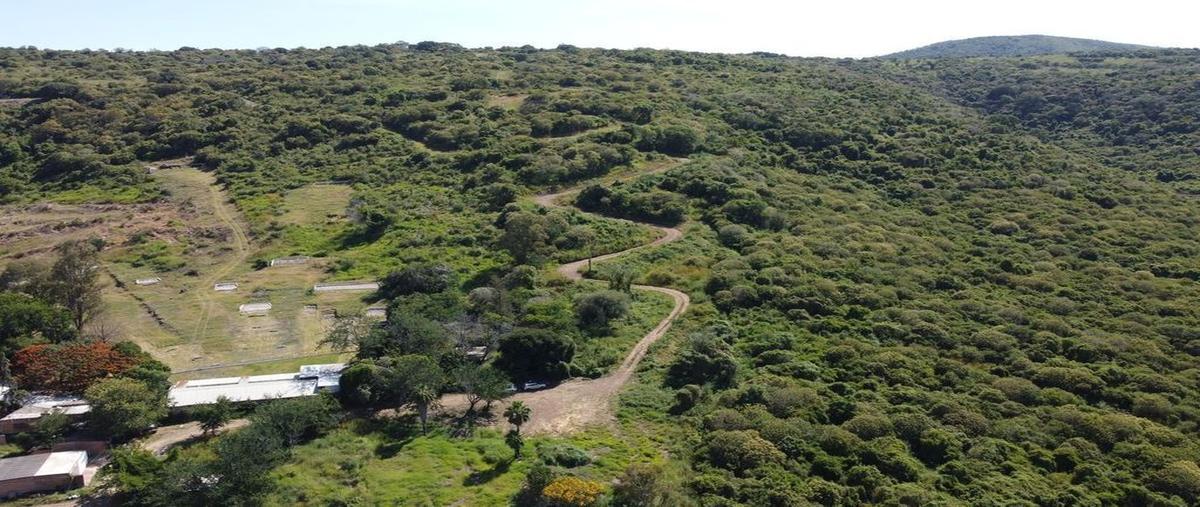 Foto de terreno habitacional en venta en carretera guadalajara - ocotlán , loma dorada, poncitlán, jalisco, 0 No. 05