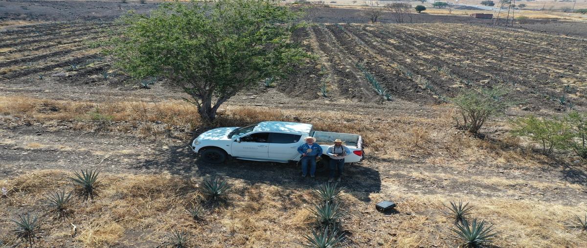 Foto de terreno comercial en venta en carretera guadalajara ocotlán , real casa blanca, zapopan, jalisco, 29988800 No. 05