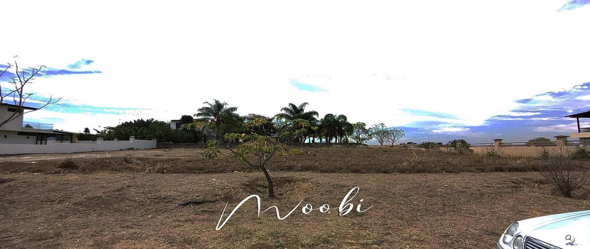 Foto de terreno habitacional en venta en carretera guadalajara - tepic , haciendas de huaxtla, el arenal, jalisco, 27696666 No. 05
