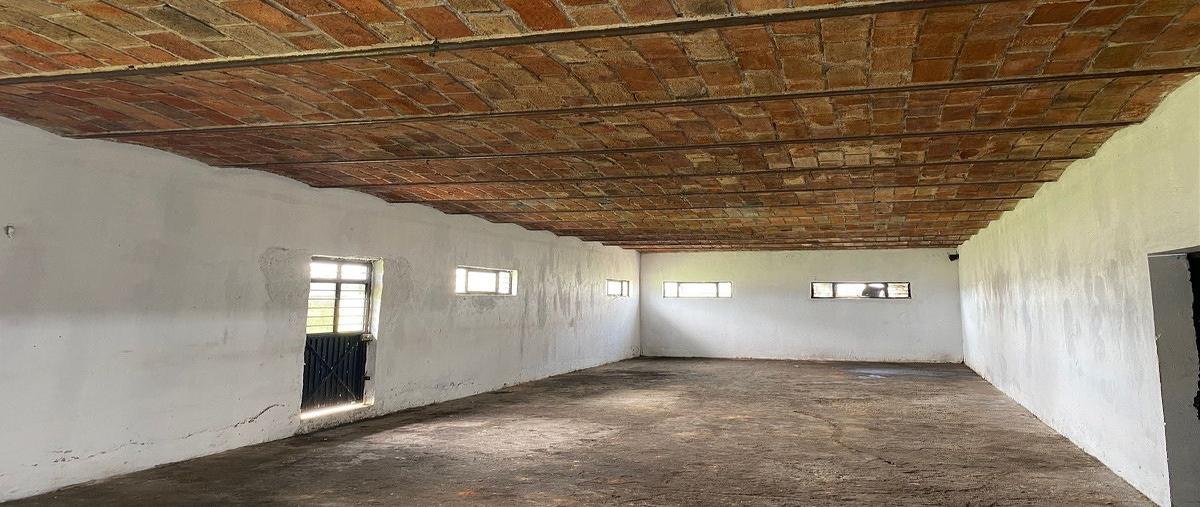 Foto de bodega en renta en carretera guadalajara-chapala kilometro 15.5el laurel , el zapote del valle, tlajomulco de zúñiga, jalisco, 0 No. 04