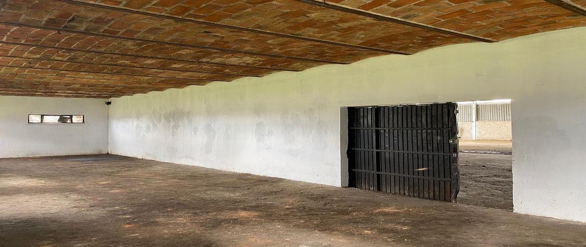 Foto de bodega en renta en carretera guadalajara-chapala kilometro 15.5el laurel , el zapote del valle, tlajomulco de zúñiga, jalisco, 0 No. 05