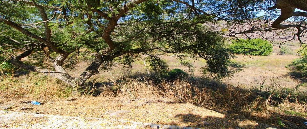 Foto de terreno habitacional en venta en carretera guadalajara-chapala kilometro 39 , brisas de chapala, chapala, jalisco, 0 No. 04