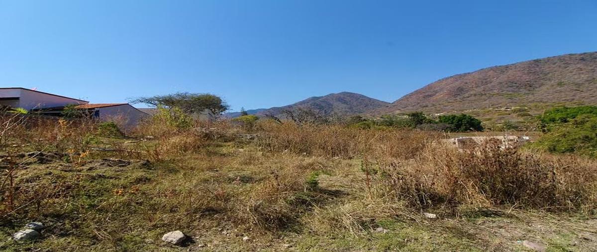 Foto de terreno habitacional en venta en carretera guadalajara-chapala kilometro 39 , brisas de chapala, chapala, jalisco, 0 No. 04