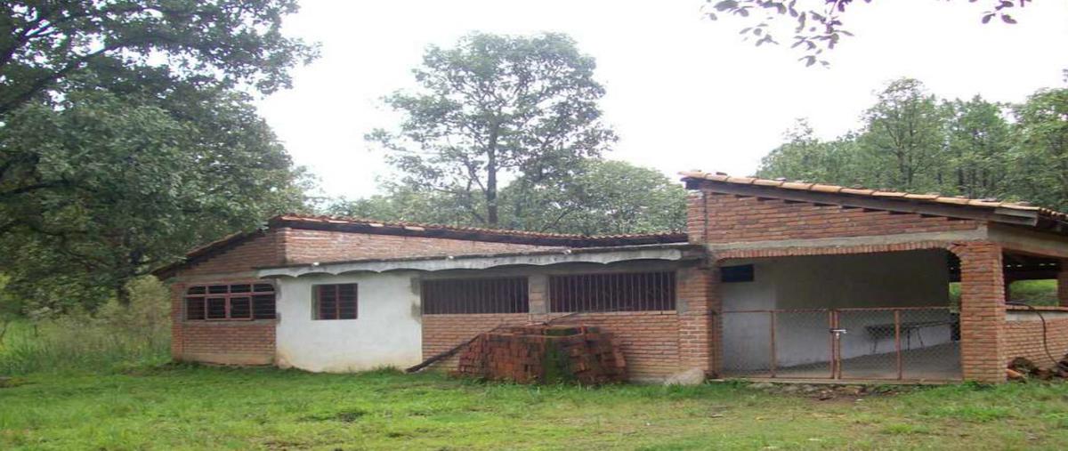 Foto de terreno habitacional en carretera guadalajara-mascota , mixtlán, mixtlán, jalisco, 24872113 foto 02 Foto de terreno habitacional en venta en carretera guadalajara-mascota , mixtlán, mixtlán, jalisco, 24872113 No. 02