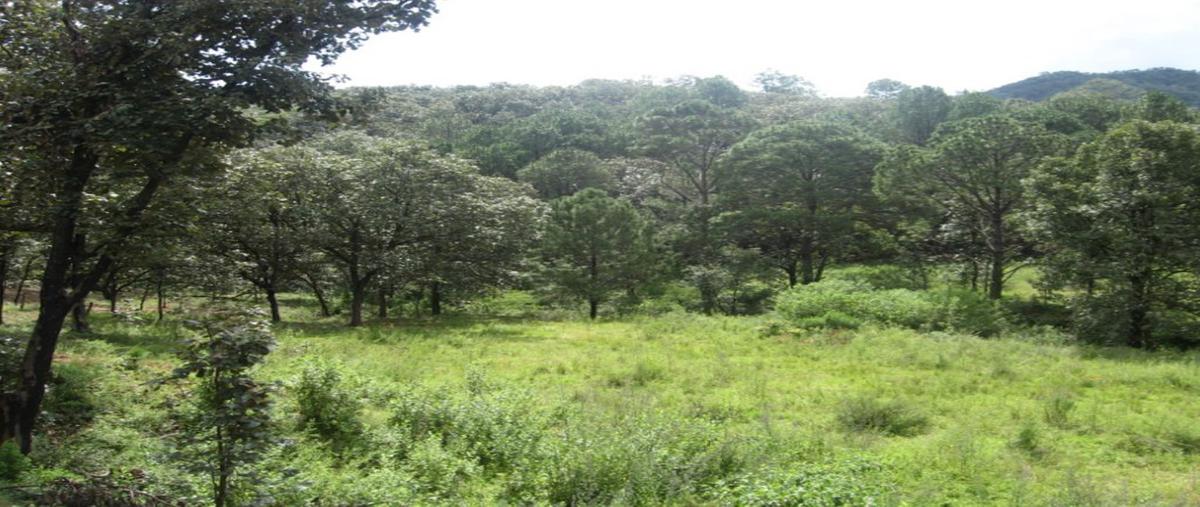 Foto de terreno habitacional en venta en carretera guadalajara-mascota , mixtlán, mixtlán, jalisco, 25252481 No. 03