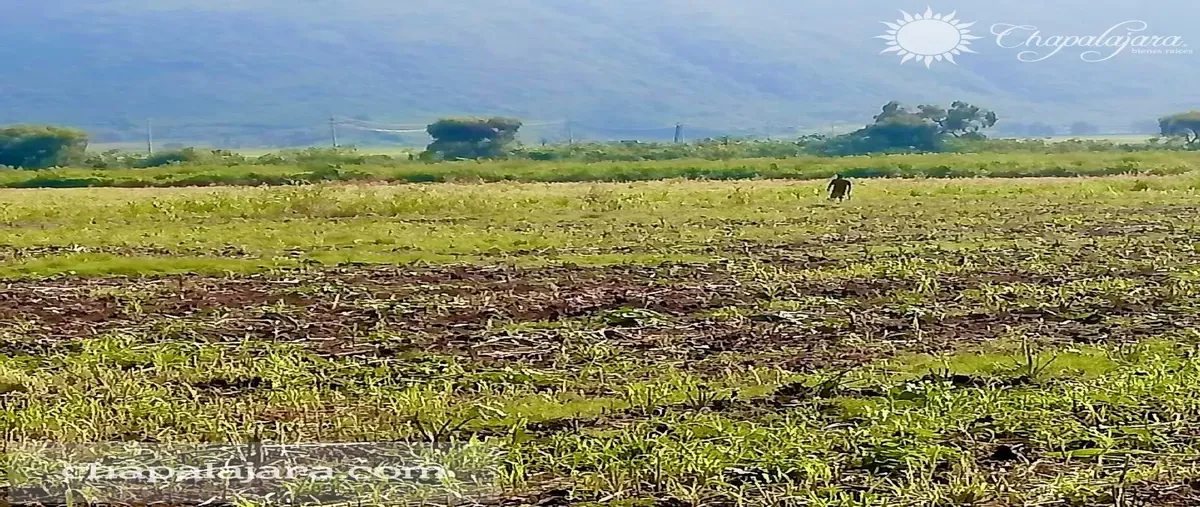 Foto de terreno habitacional en carretera guadalajara-morelia , jocotepec centro, jocotepec, jalisco, 0 foto 04 Foto de terreno habitacional en venta en carretera guadalajara-morelia , jocotepec centro, jocotepec, jalisco, 0 No. 04