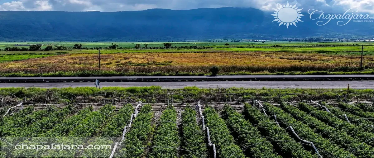 Foto de terreno comercial en venta en carretera guadalajara-morelia , jocotepec centro, jocotepec, jalisco, 0 No. 03