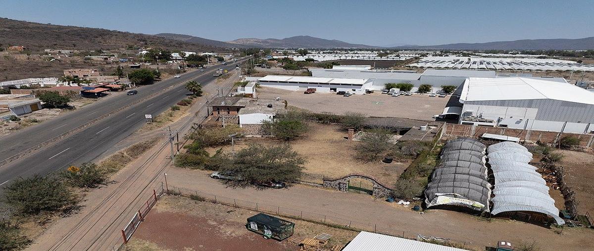 Foto de local en venta en carretera guadalajara-morelia , jocotepec centro, jocotepec, jalisco, 31083262 No. 04