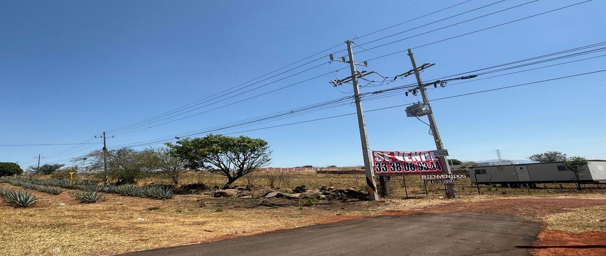 Foto de terreno habitacional en venta en carretera guadalajara-tepic , amatitan, amatitán, jalisco, 31106323 No. 04