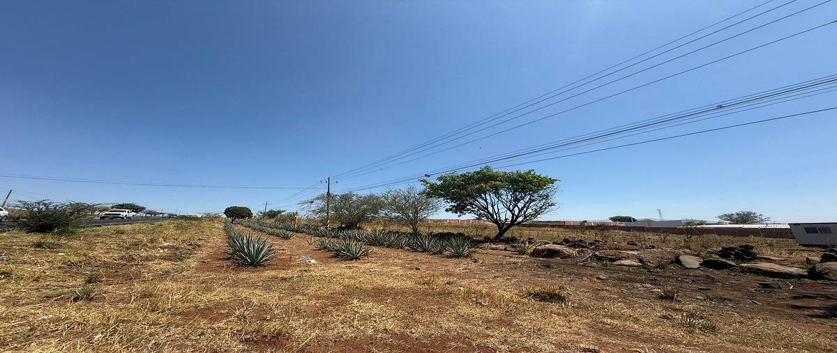 Foto de terreno habitacional en venta en carretera guadalajara-tepic , amatitan, amatitán, jalisco, 31106323 No. 05