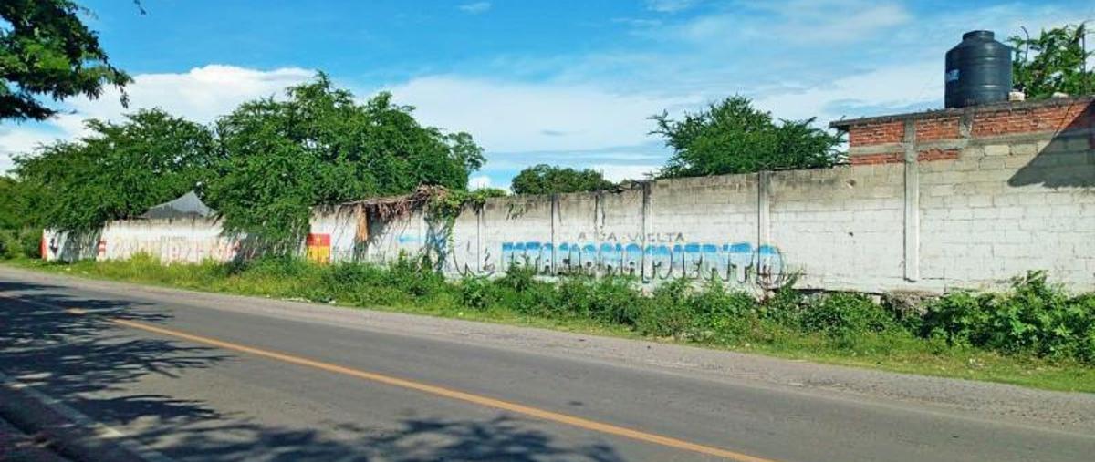 Foto de terreno habitacional en venta en carretera , guadalupe, tepalcingo, morelos, 0 No. 01