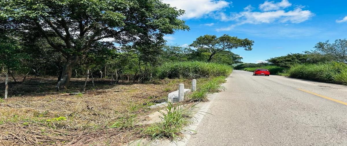 Foto de terreno habitacional en venta en carretera guadalupe victoria , berriozabal centro, berriozábal, chiapas, 27423747 No. 05