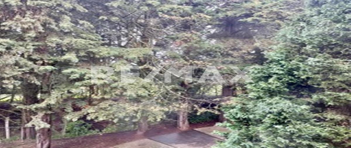 Foto de rancho en venta en carretera gualupita tilapa , santiago tilapa, tianguistenco, méxico, 29254193 No. 04