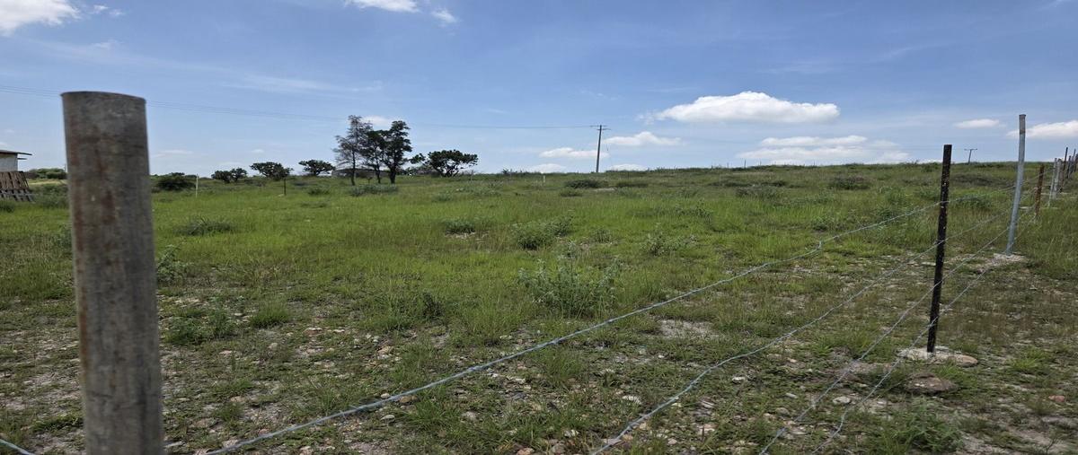 Foto de terreno industrial en venta en carretera guanajuato irapuato kilometro 8 + 600 , los infantes, silao de la victoria, guanajuato, 30231690 No. 03