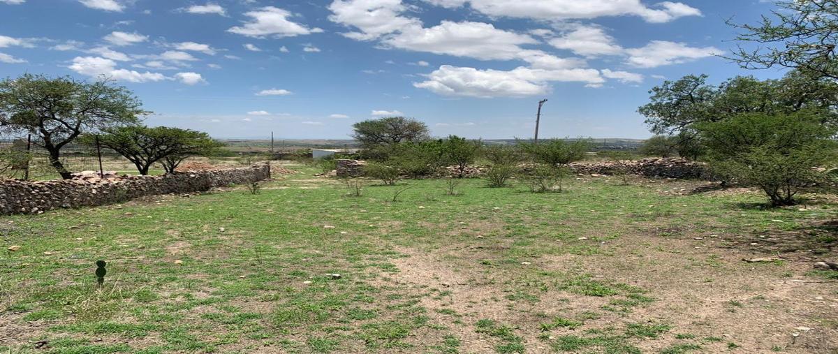 Foto de terreno habitacional en venta en carretera guanajuato-juventino rosas , yerbabuena, guanajuato, guanajuato, 27686104 No. 03