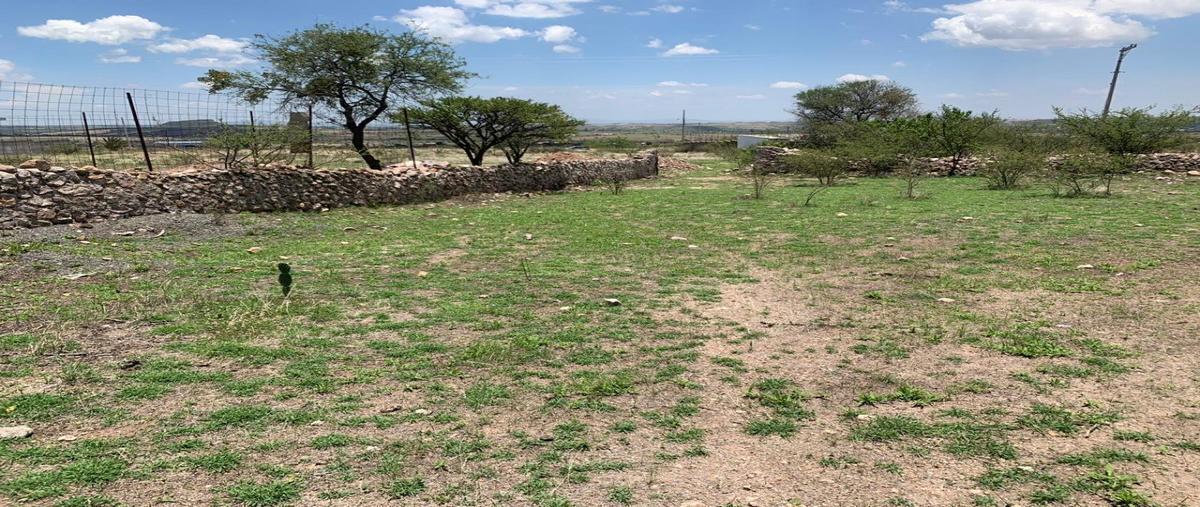 Foto de terreno habitacional en venta en carretera guanajuato-juventino rosas , yerbabuena, guanajuato, guanajuato, 27686104 No. 05