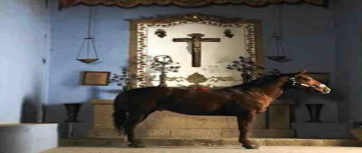 Foto de rancho en carretera hidalgo , bajio, juárez hidalgo, hidalgo, 0 foto 05 Foto de rancho en venta en carretera hidalgo , bajio, juárez hidalgo, hidalgo, 0 No. 05