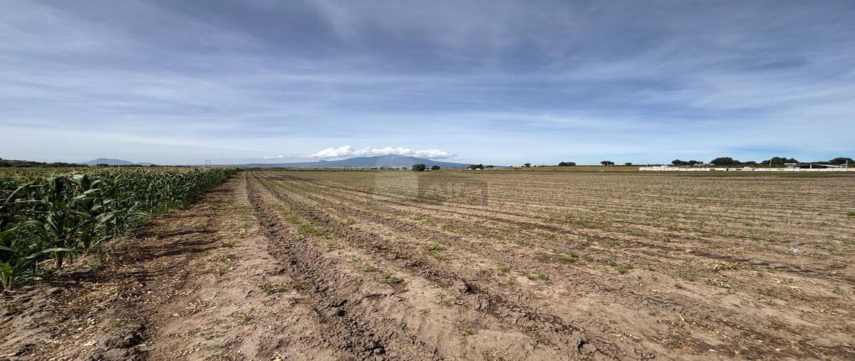 Foto de terreno comercial en venta en carretera huamantla - carrillo puerto 5, ampliación felipe carrillo puerto, huamantla, tlaxcala, 0 No. 04