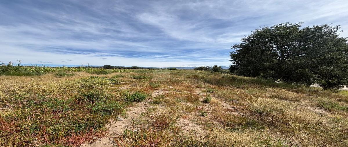 Foto de terreno comercial en venta en carretera huamantla - carrillo puerto 5, ampliación felipe carrillo puerto, huamantla, tlaxcala, 0 No. 05