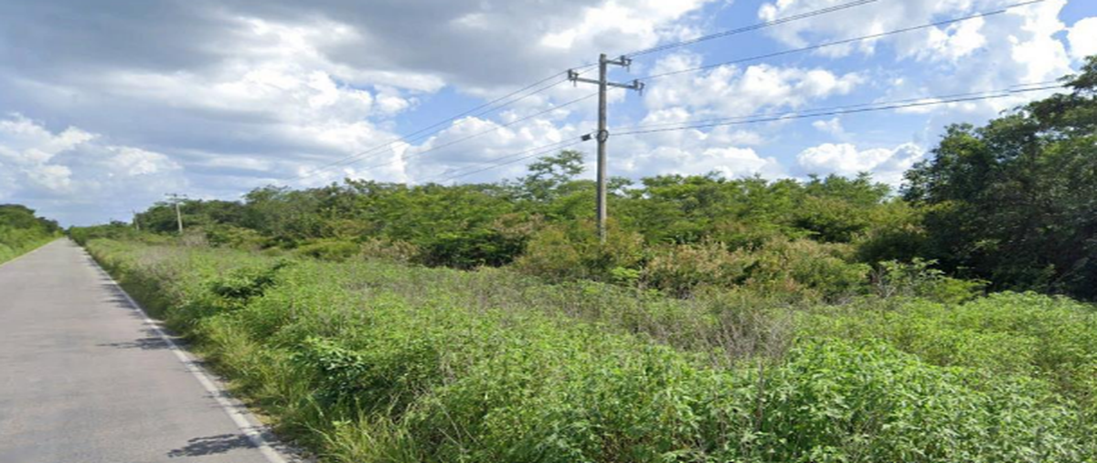 Foto de terreno habitacional en venta en carretera hunucmá-umán , centro hunucmá, hunucmá, yucatán, 31081693 No. 05