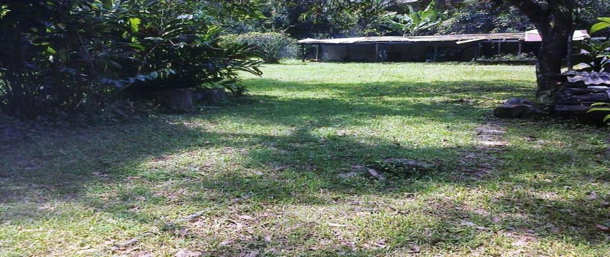 Foto de rancho en venta en carretera int , puerto escondido centro, san pedro mixtepec -dto. 22 -, oaxaca, 0 No. 02