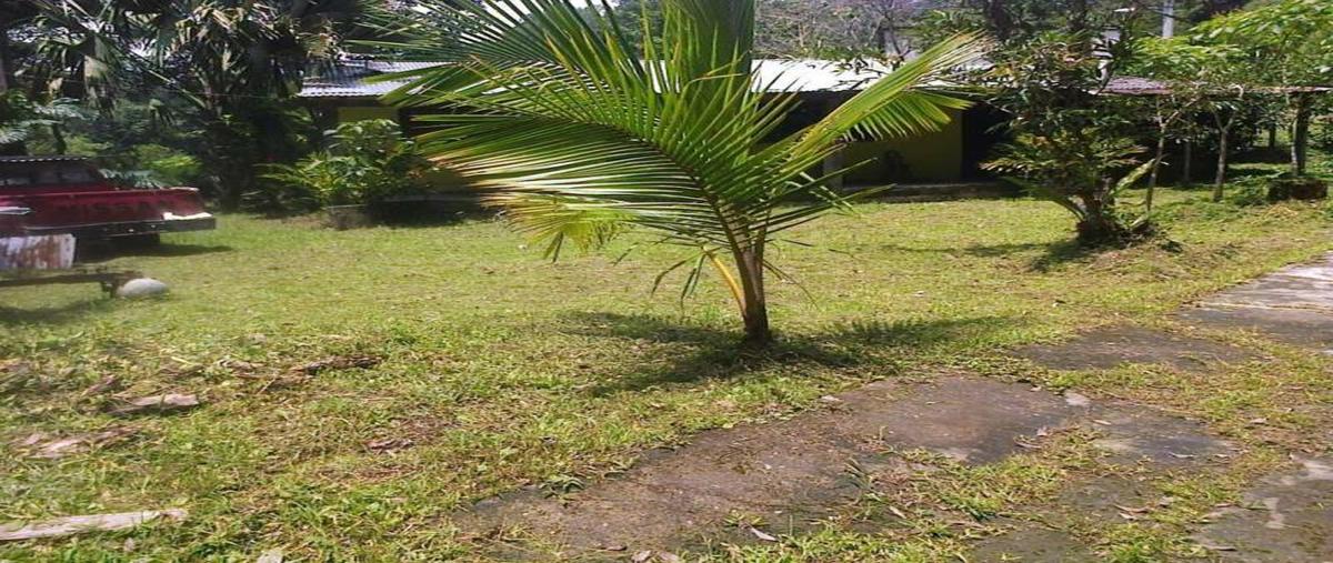 Foto de rancho en venta en carretera int , puerto escondido centro, san pedro mixtepec -dto. 22 -, oaxaca, 0 No. 04
