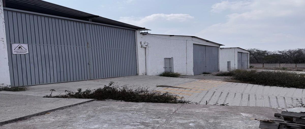 Foto de bodega en venta en carretera internacional 190 , santa inés bellavista, berriozábal, chiapas, 0 No. 03