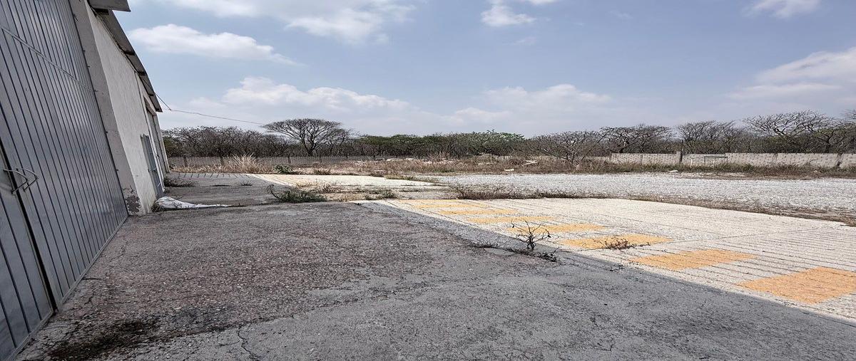 Foto de bodega en venta en carretera internacional 190 , santa inés bellavista, berriozábal, chiapas, 0 No. 05