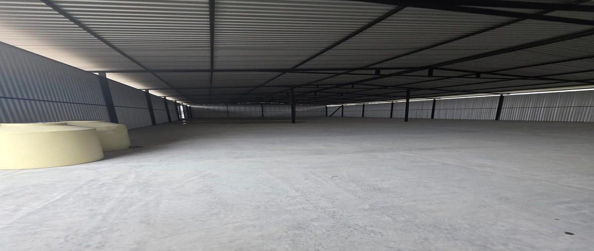 Foto de bodega en renta en carretera internacional , berriozabal centro, berriozábal, chiapas, 31094649 No. 04