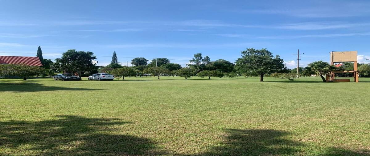 Foto de local en carretera internacional , el palmar, berriozábal, chiapas, 0 foto 03 Foto de local en venta en carretera internacional , el palmar, berriozábal, chiapas, 0 No. 03