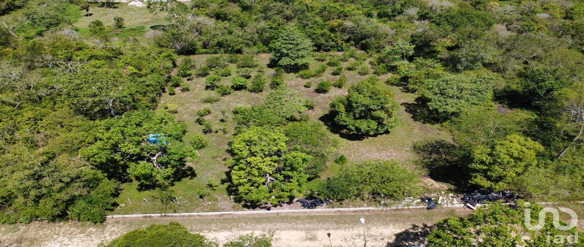 Foto de terreno habitacional en venta en carretera internacional , fraccionamiento el edén, ocozocoautla de espinosa, chiapas, 0 No. 04