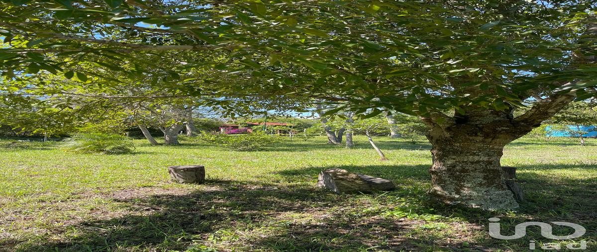 Foto de terreno habitacional en venta en carretera internacional , fraccionamiento el edén, ocozocoautla de espinosa, chiapas, 0 No. 05