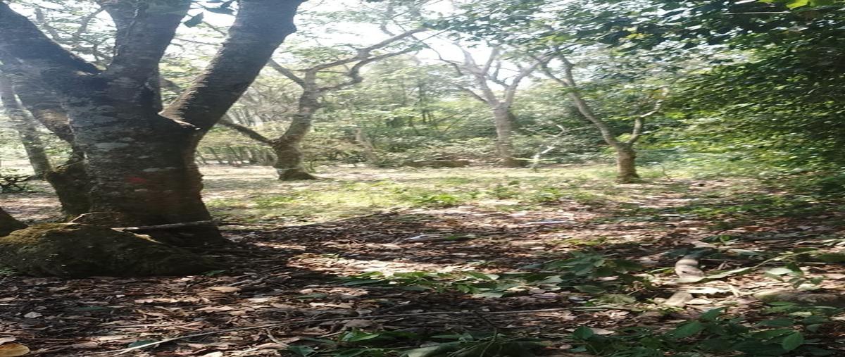 Foto de terreno habitacional en carretera internacional kilometro 145 d , rosario poniente, tuxtla gutiérrez, chiapas, 28157297 foto 05 Foto de terreno habitacional en venta en carretera internacional kilometro 145 d , rosario poniente, tuxtla gutiérrez, chiapas, 28157297 No. 05