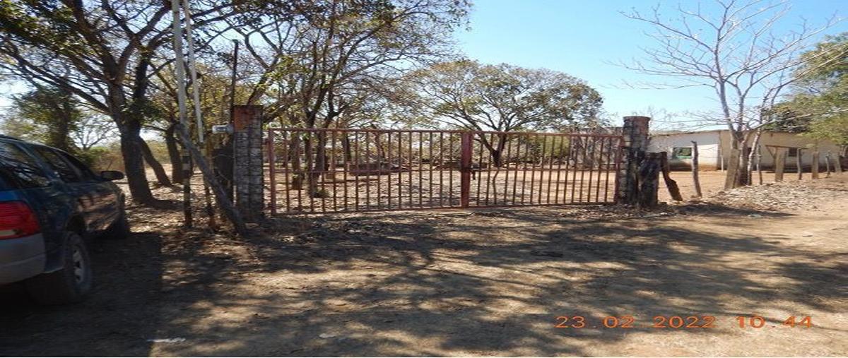 Foto de terreno comercial en venta en carretera internacional kilometro 62+800 , tijuanita, ruíz, nayarit, 26817251 No. 01