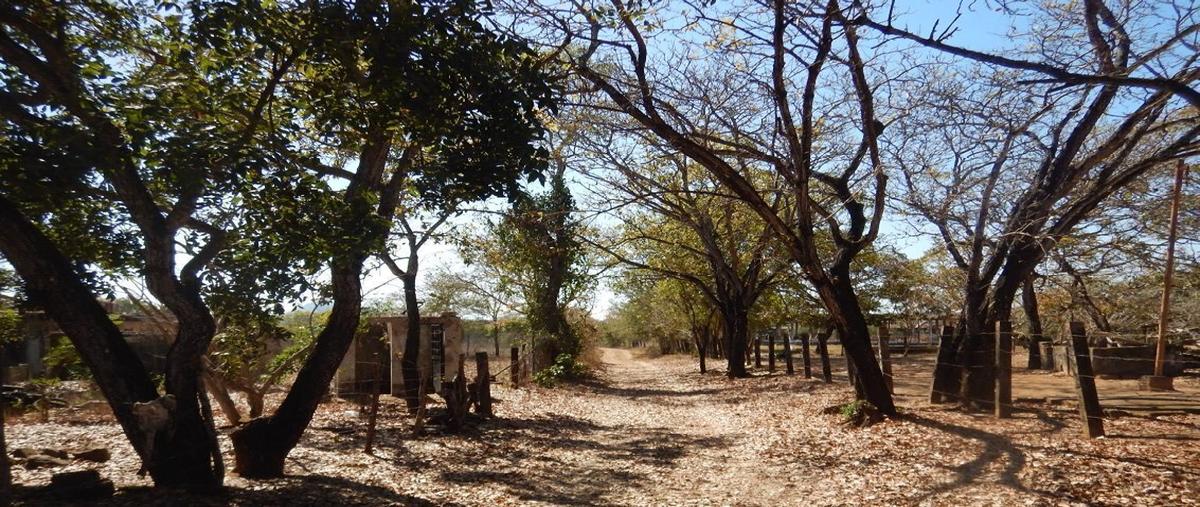 Foto de terreno comercial en venta en carretera internacional kilometro 62+800 , tijuanita, ruíz, nayarit, 26817251 No. 03